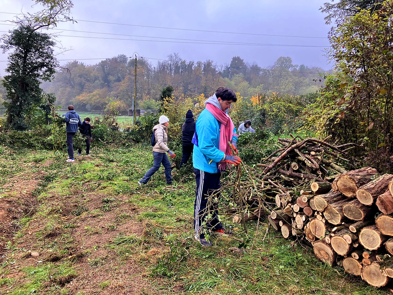 Collaborer avec ses serres